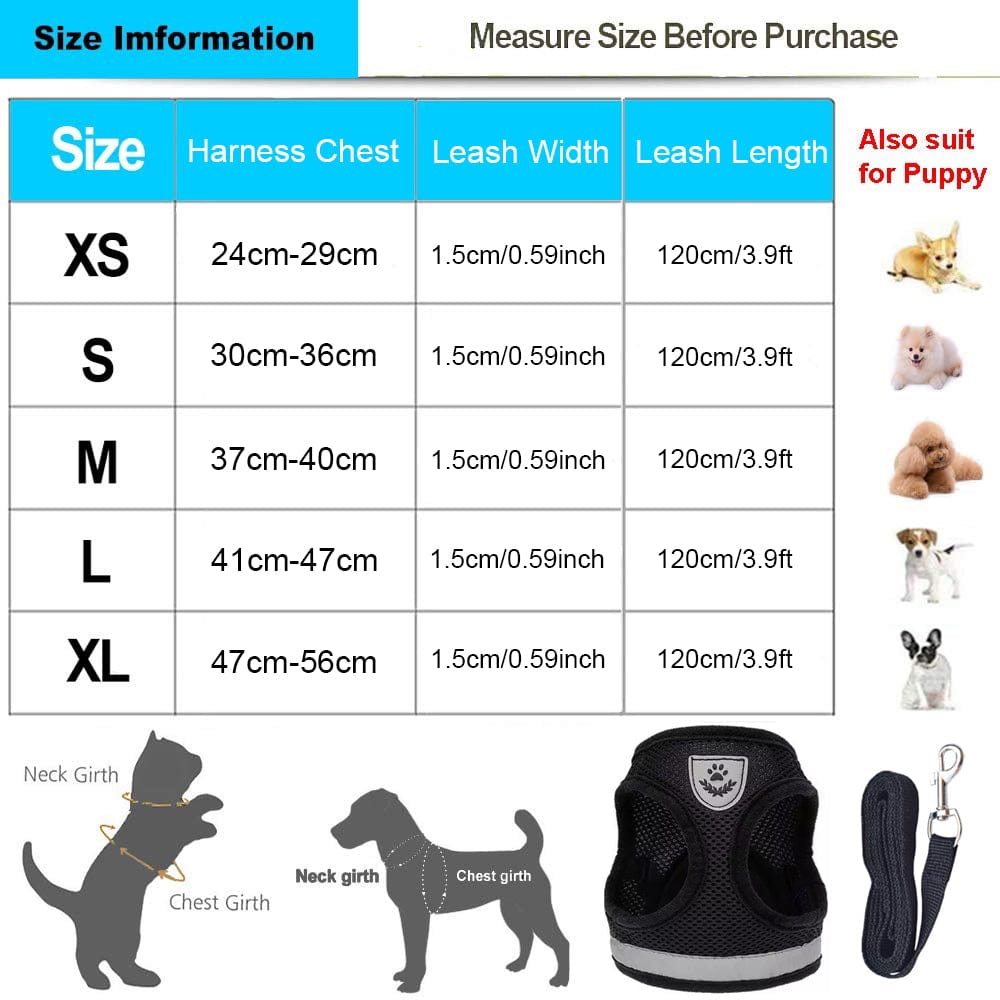 Pet Harness and Leash